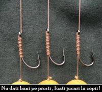 carpbook